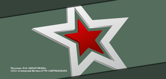 Год защитника отечества